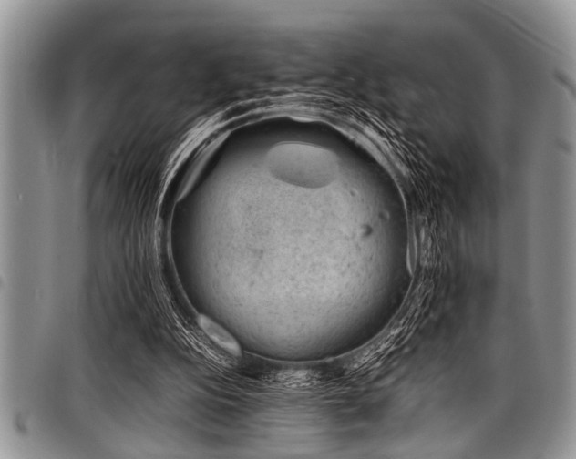 X0000098160152200804171608