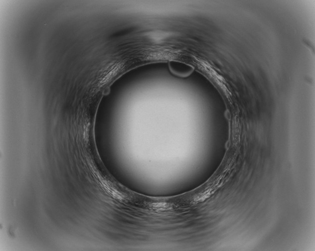 X0000098160153200804171608