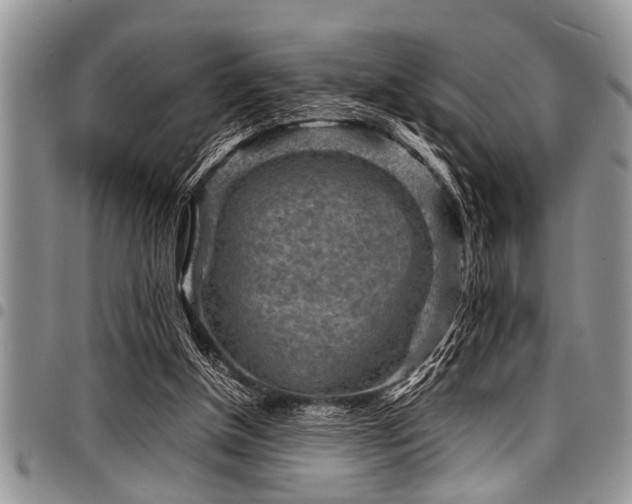 X0000098160154200804171608