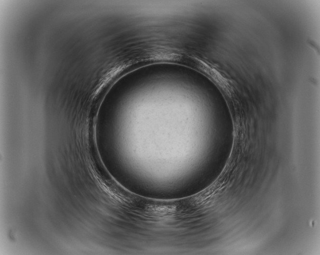 X0000098160155200804171608