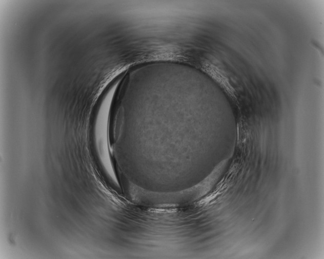 X0000098160156200804171608