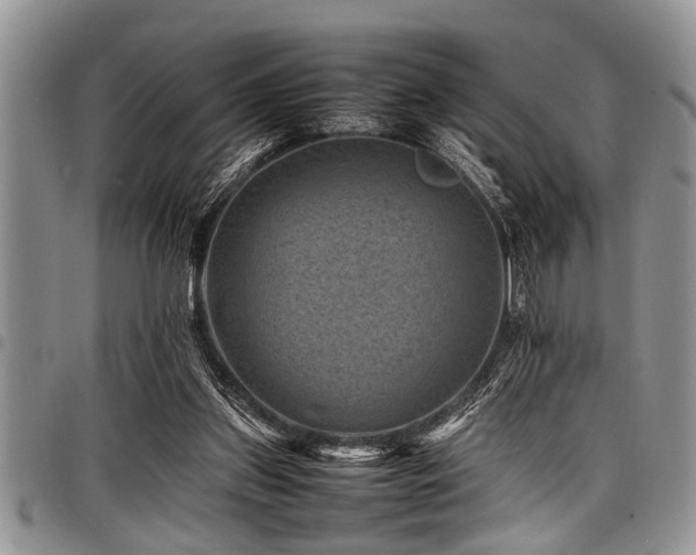 X0000098160157200804171608