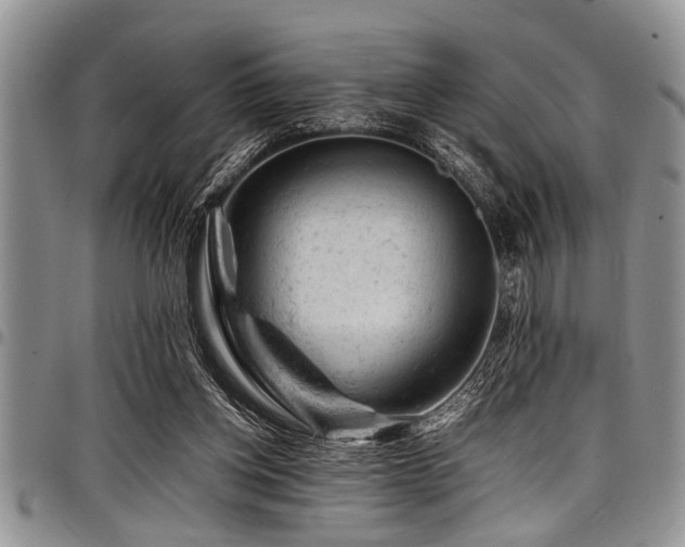 X0000098160158200804171608