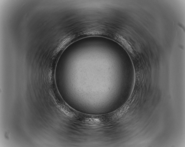 X0000098160159200804171608