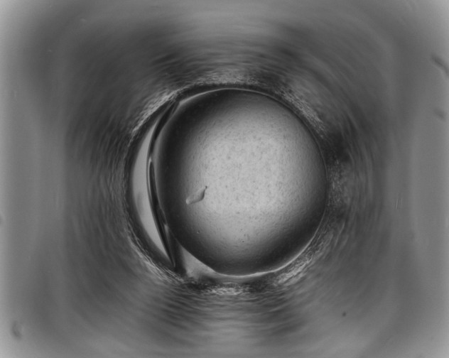 X0000098160160200804171608