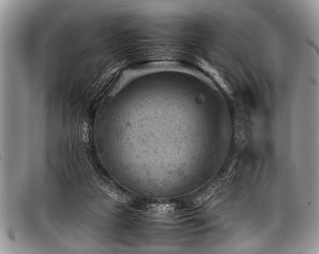X0000098160161200804171608
