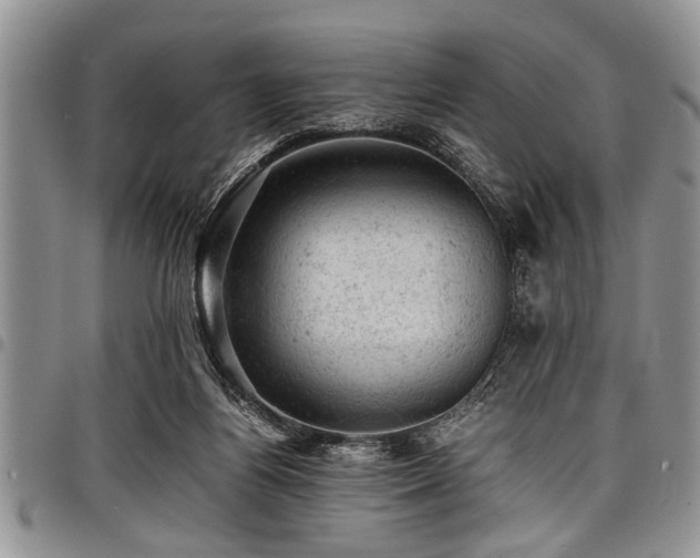 X0000098160164200804171608