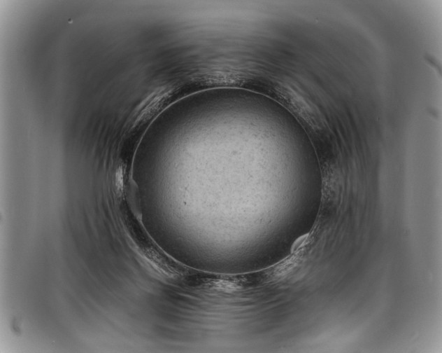 X0000098160166200804171608