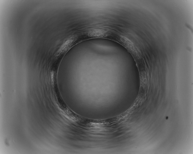 X0000098160167200804171608