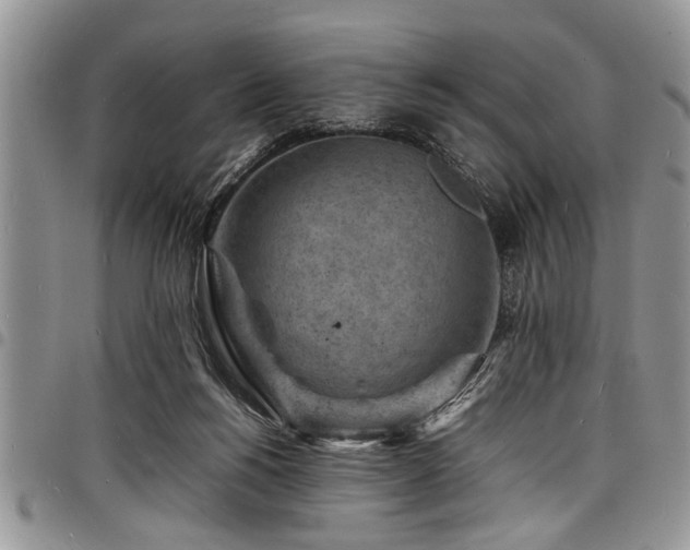 X0000098160168200804171608