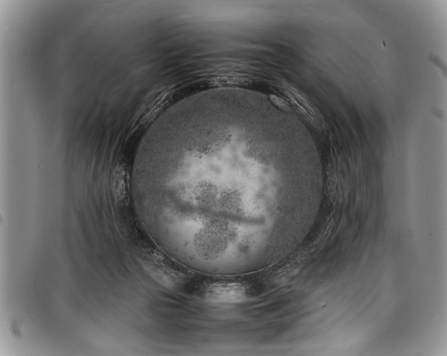 X0000098160169200804171608