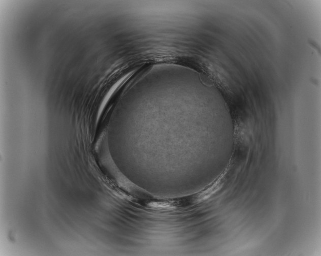 X0000098160170200804171608