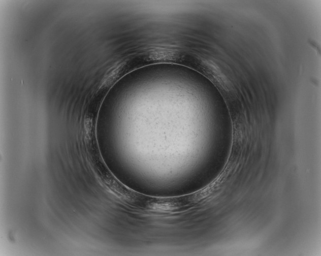 X0000098160171200804171608