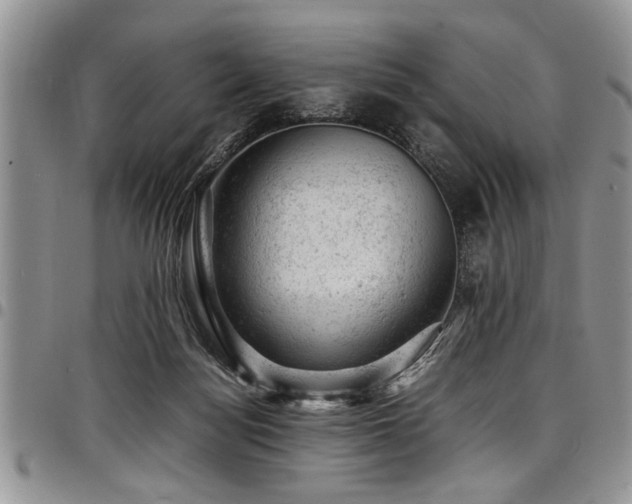 X0000098160172200804171608