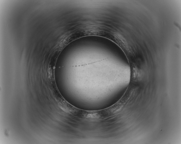 X0000098160173200804171608