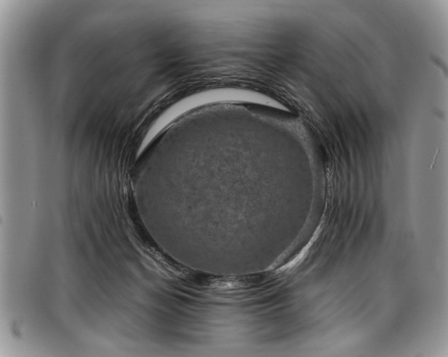 X0000098160174200804171608