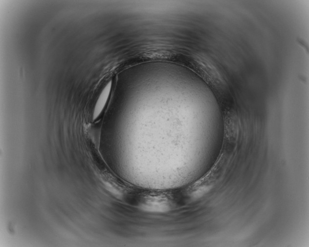 X0000098160175200804171608