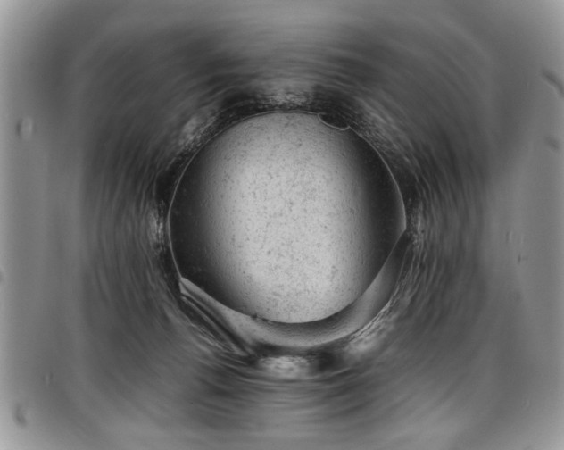 X0000098160176200804171608
