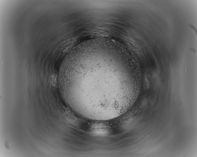 X0000098160177200804171608