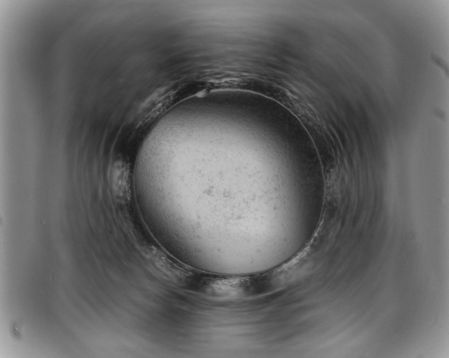 X0000098160178200804171608