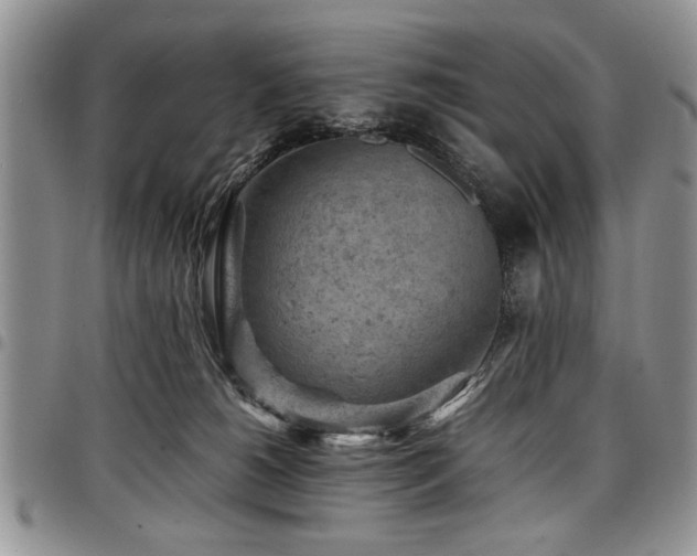 X0000098160180200804171608
