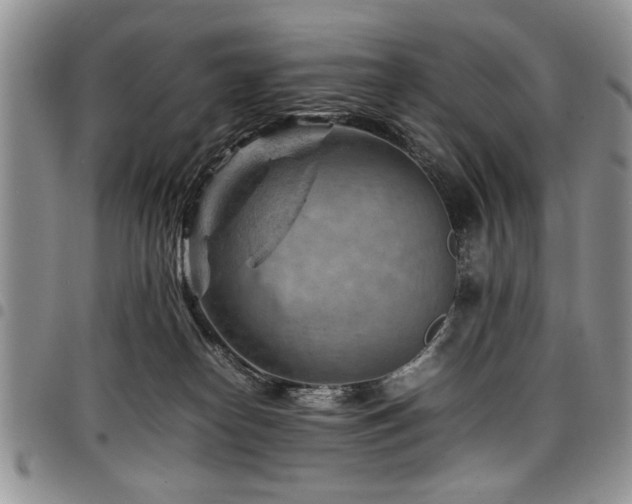 X0000098160182200804171608