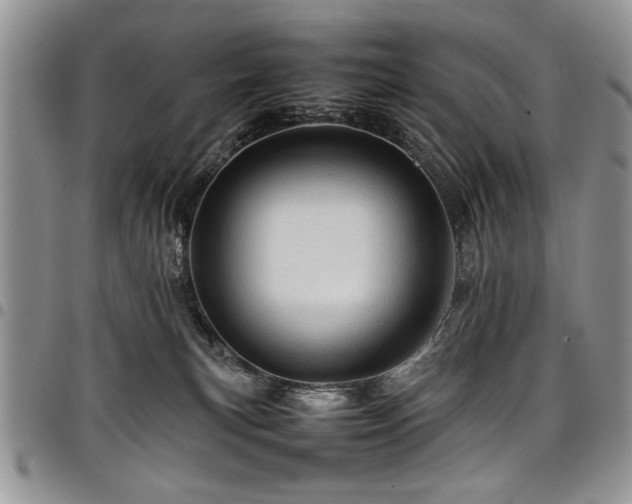 X0000098160183200804171608