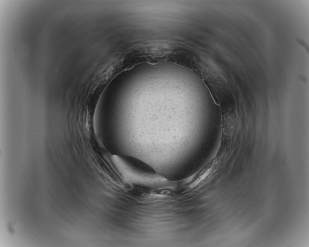 X0000098160184200804171608