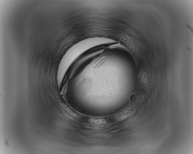 X0000098160185200804171608