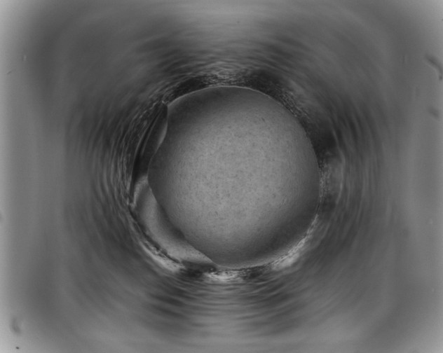 X0000098160186200804171608