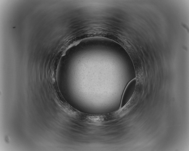 X0000098160187200804171608