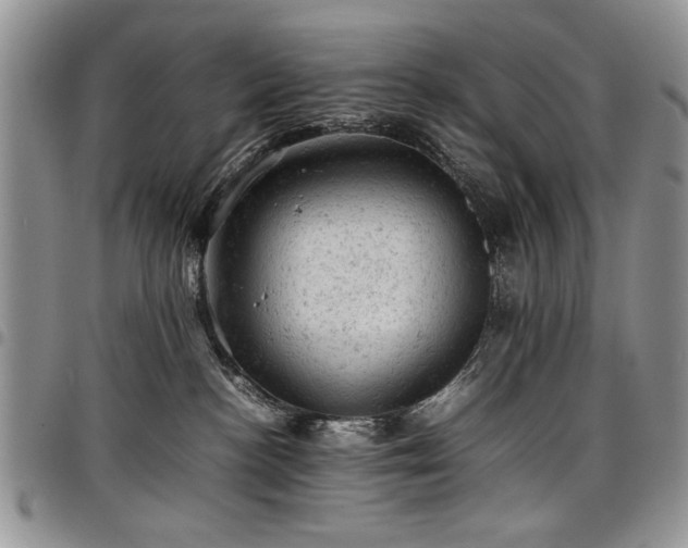 X0000098160188200804171608