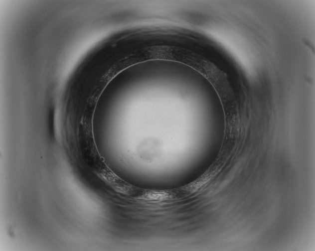 X0000098160189200804171608