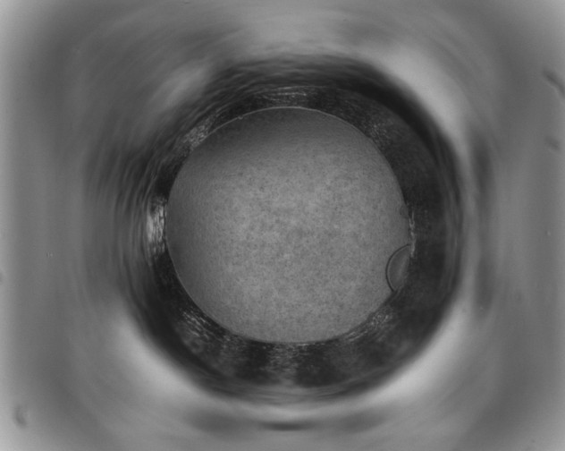 X0000098160190200804171608