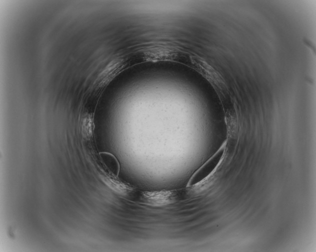 X0000098160191200804171608
