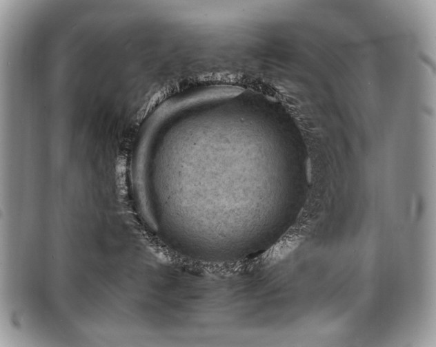 X0000098160192200804171608
