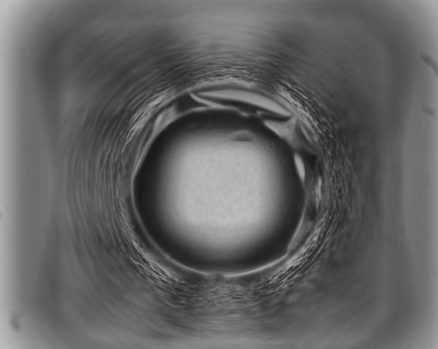 X0000098160193200804171608