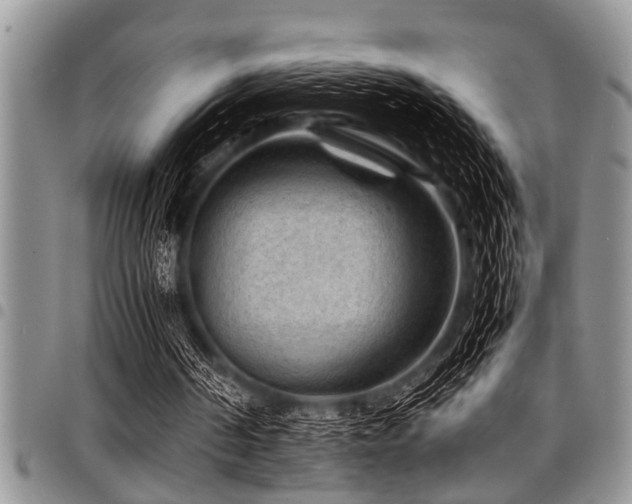 X0000098160194200804171608