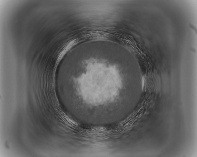 X0000098160195200804171608
