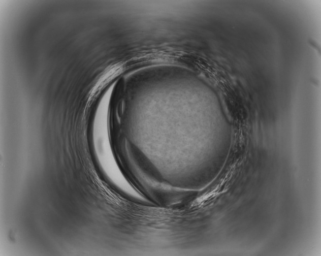 X0000098160197200804171607