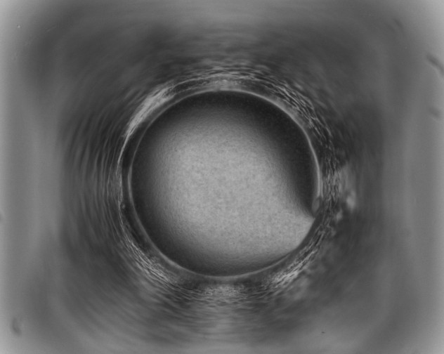X0000098160198200804171607
