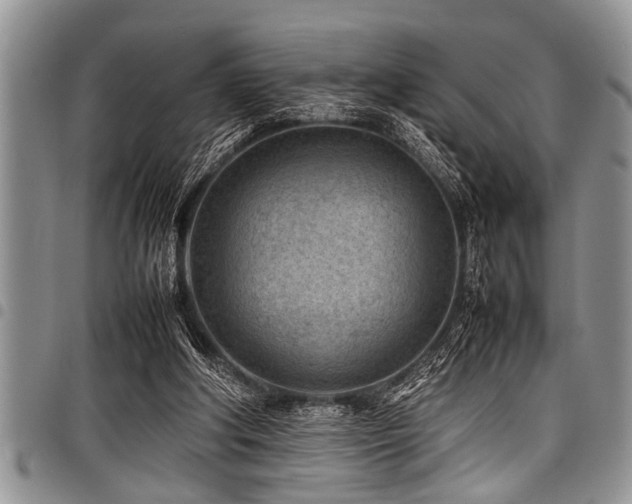 X0000098160202200804171607