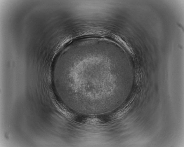 X0000098160203200804171607