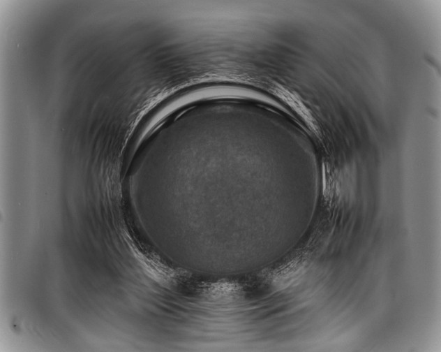 X0000098160204200804171607