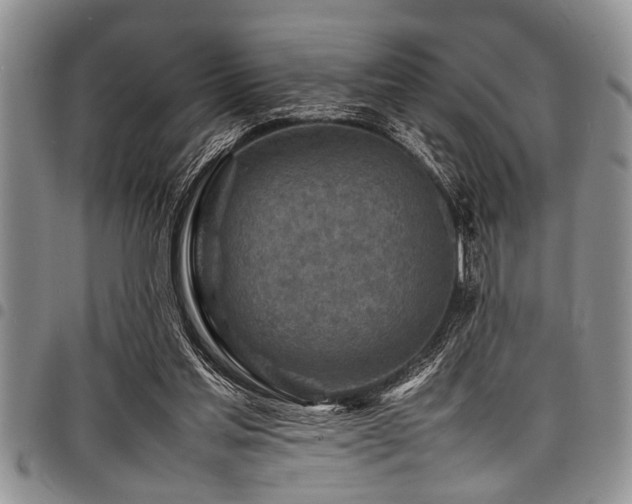 X0000098160205200804171607
