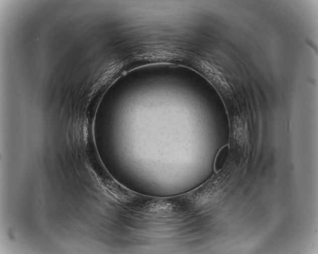 X0000098160206200804171607