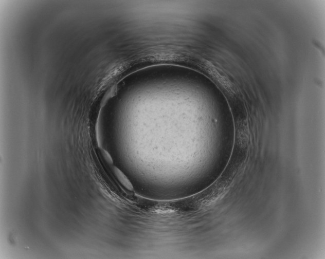 X0000098160207200804171607
