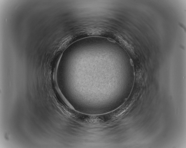 X0000098160209200804171607