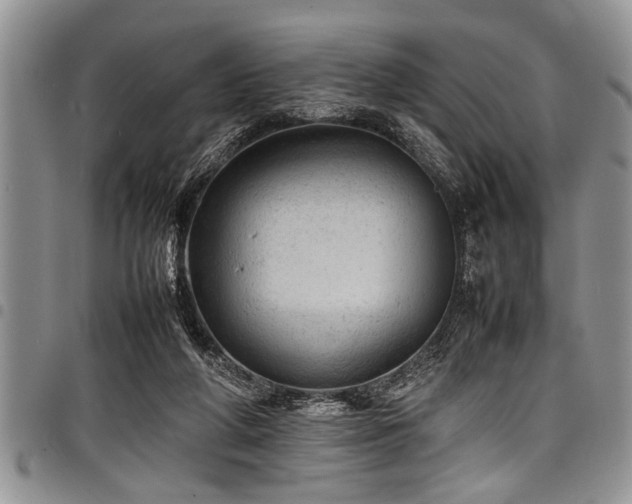 X0000098160210200804171607