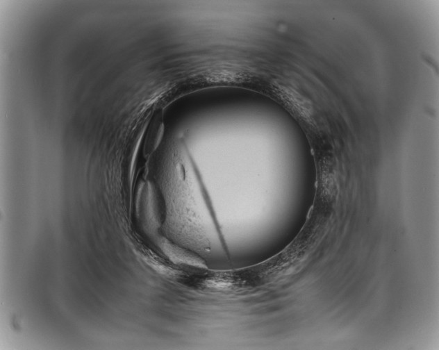 X0000098160211200804171607
